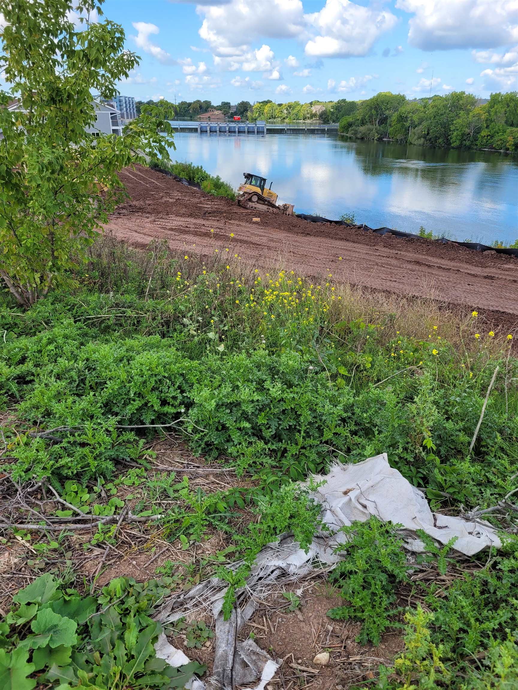 Views of Blue at the Trail Fox River front