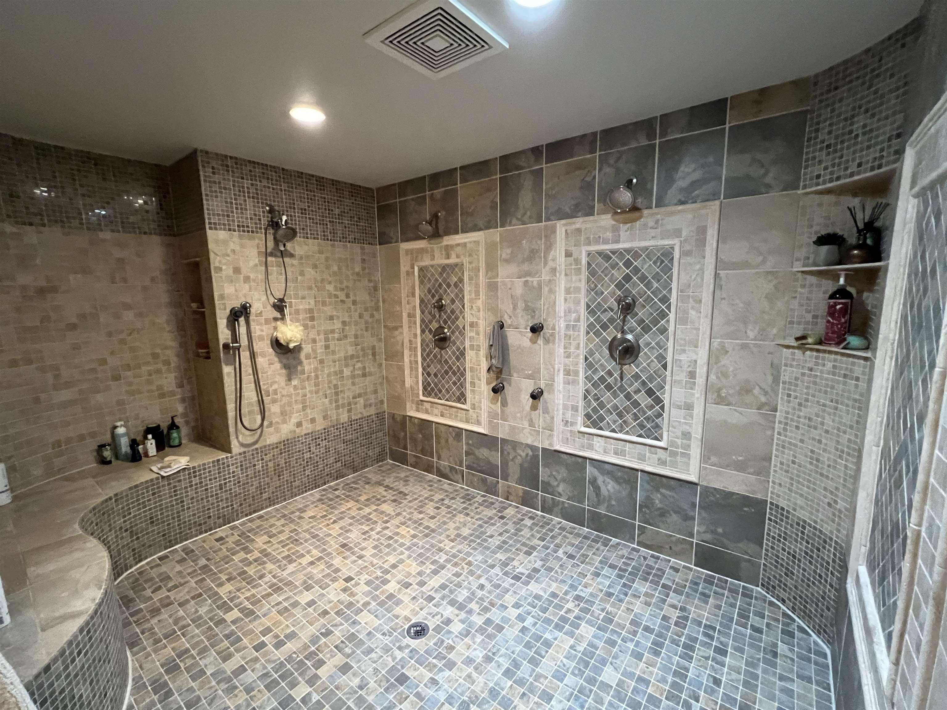 Lower level bath - huge shower