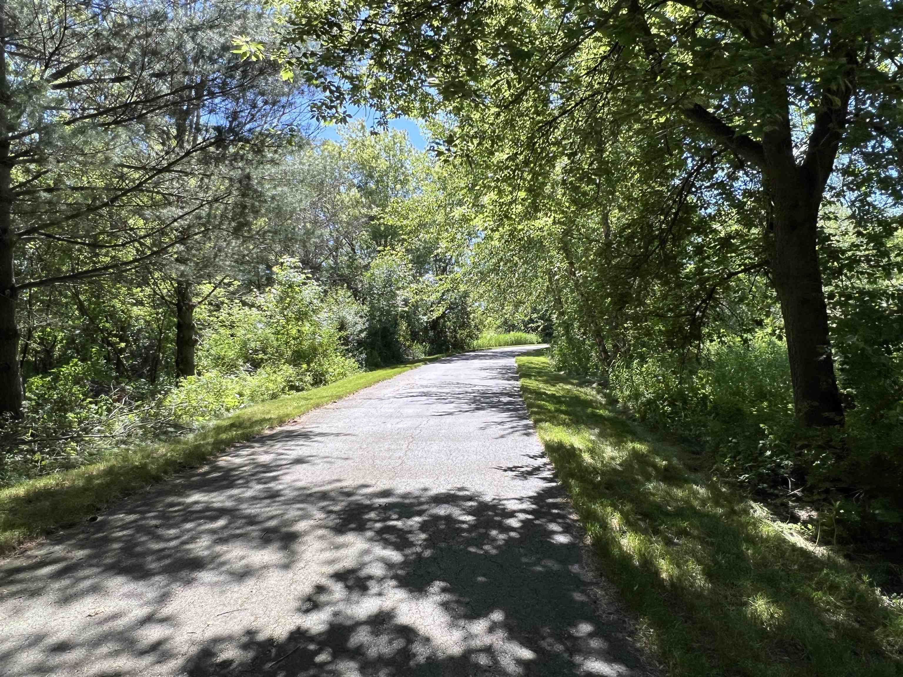 Driveway to back office and workshop