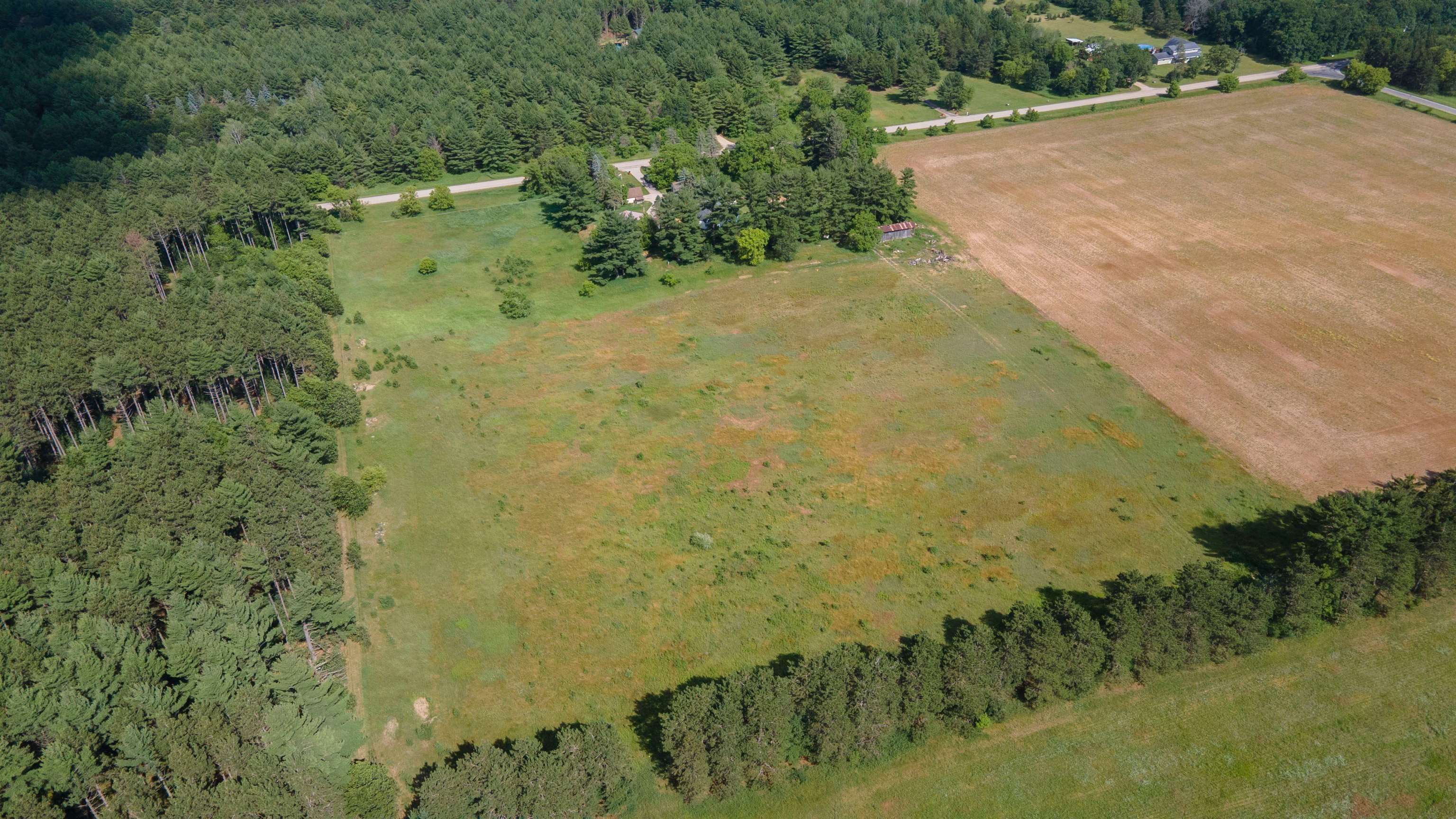 The green area from tree line to road