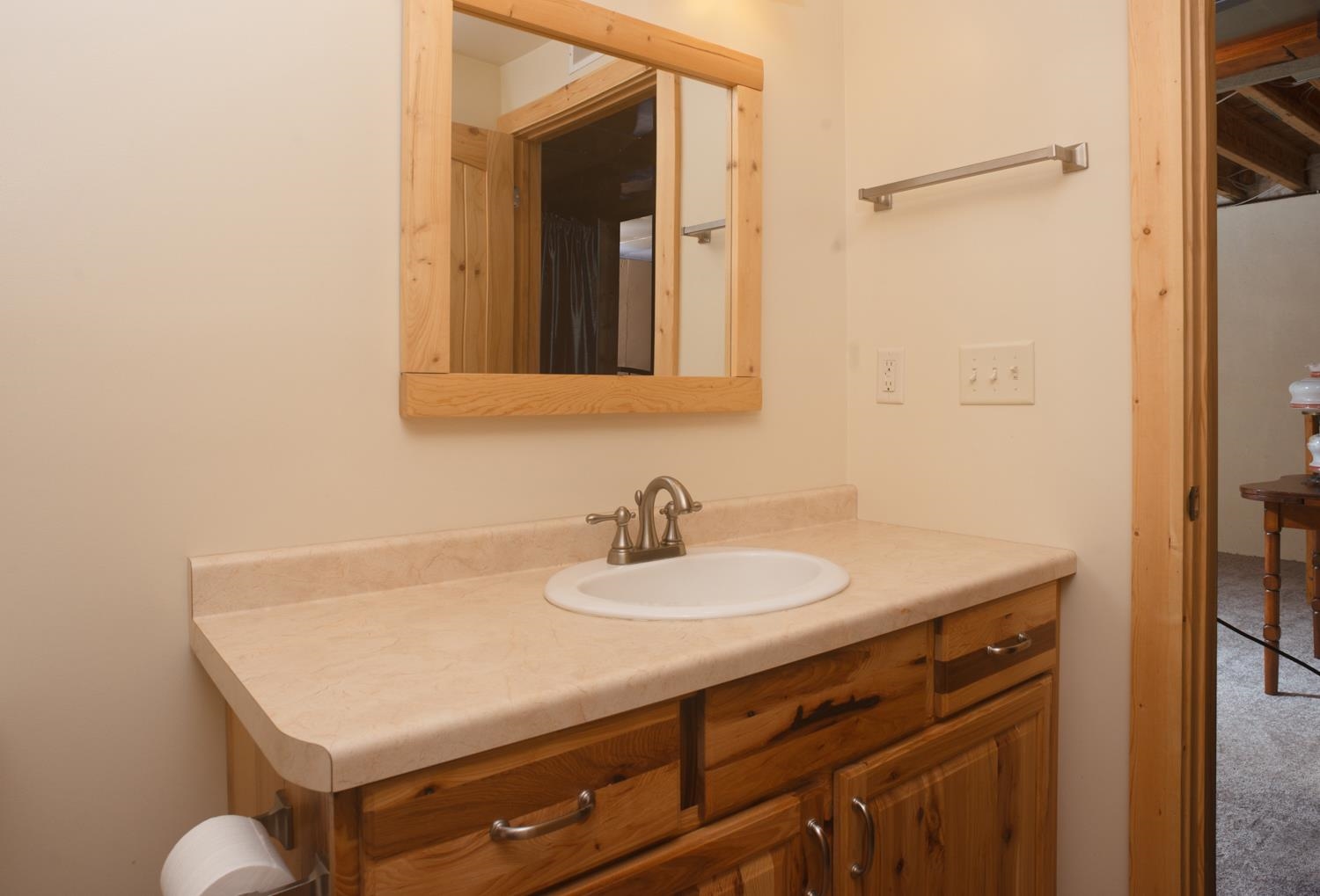 Lower level bathroom with shower