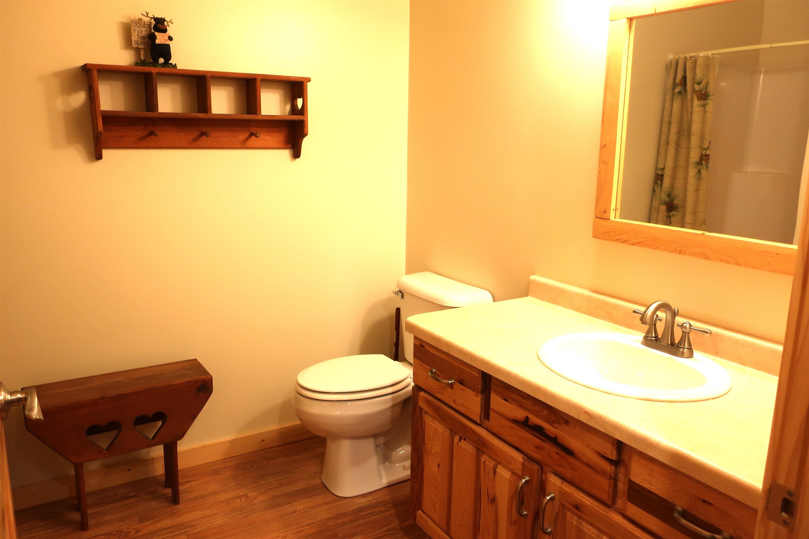 Lower Level Bathroom with shower