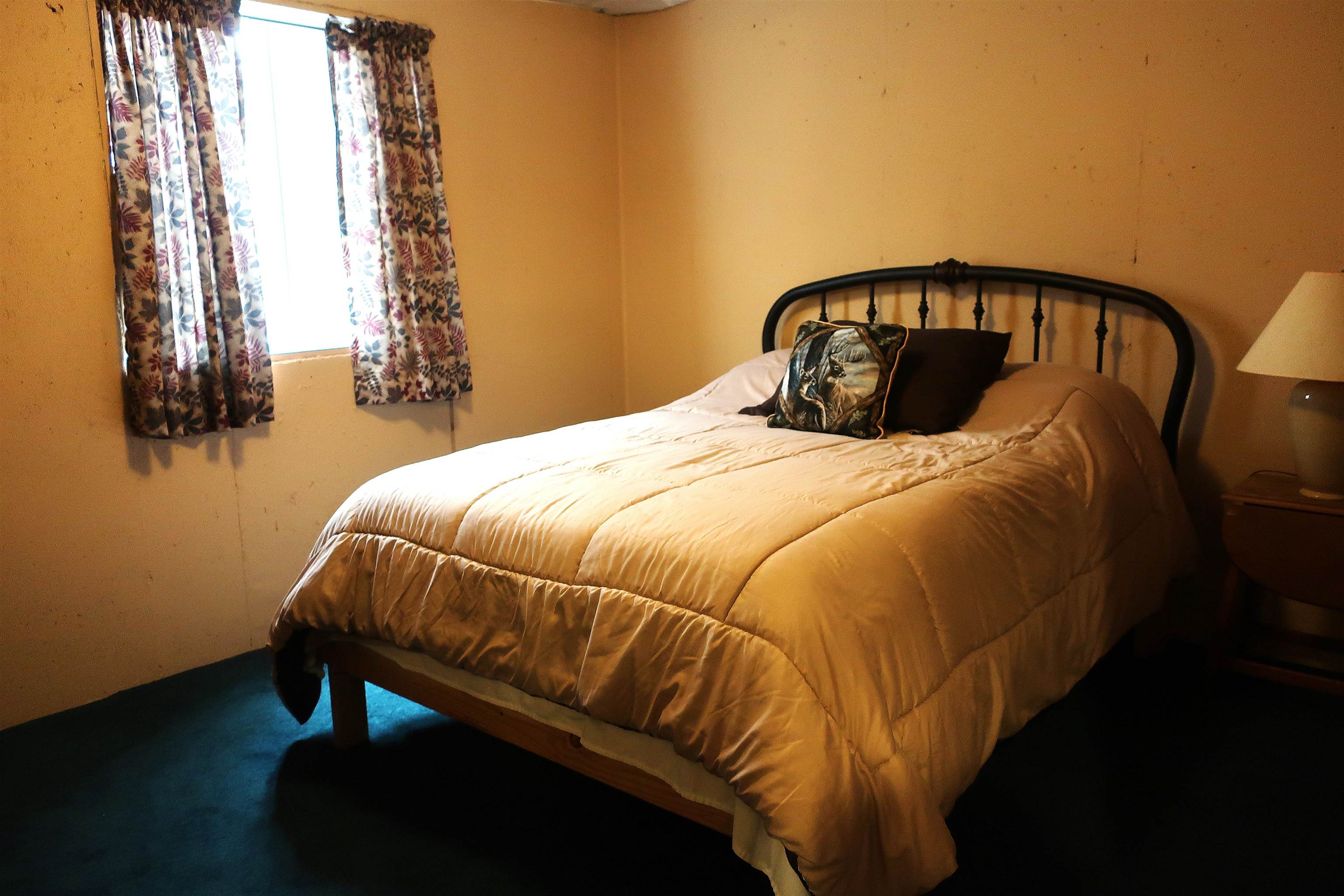 Lower level bedroom with new carpet