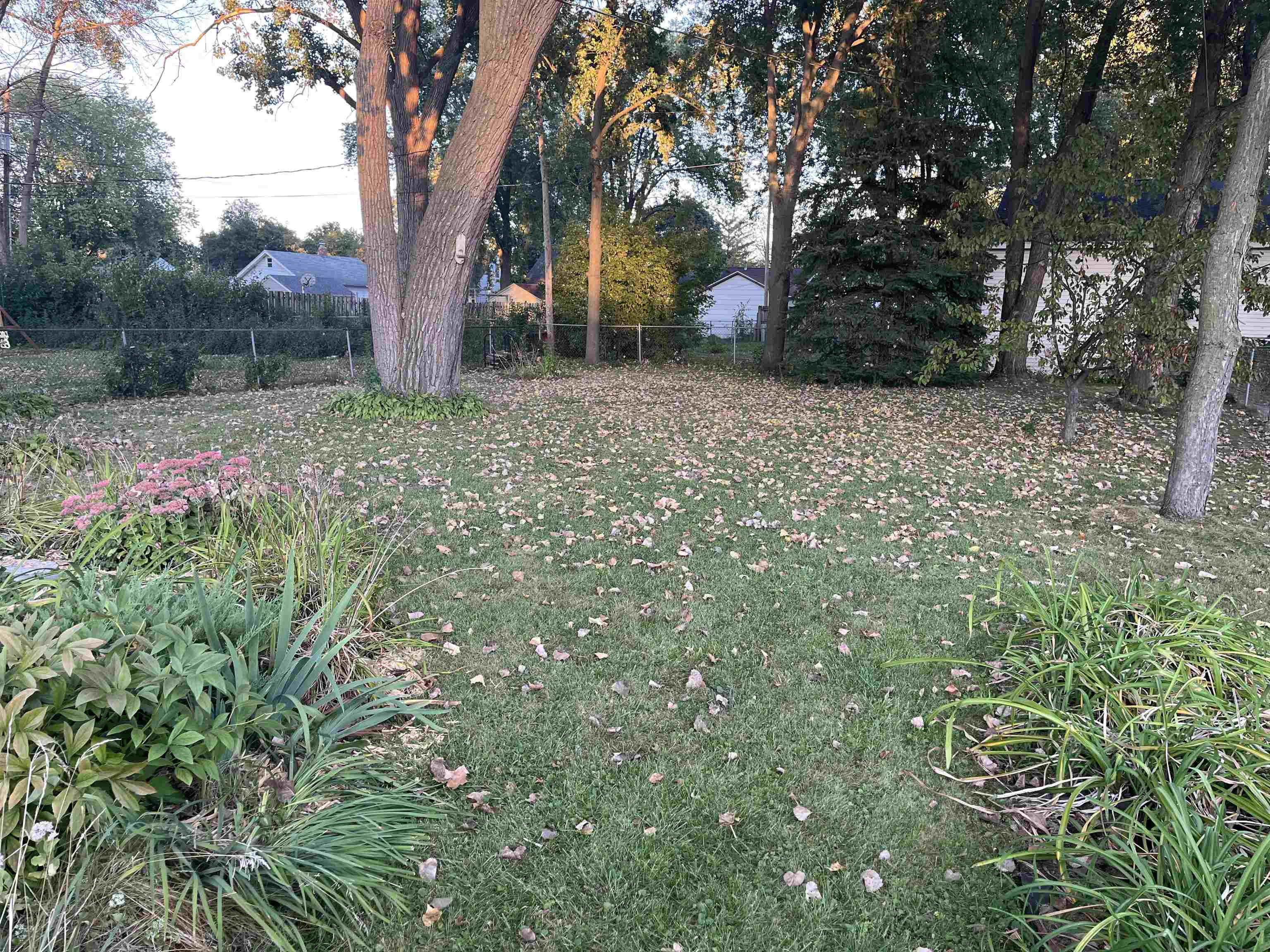 Back yard has lots of perennials.