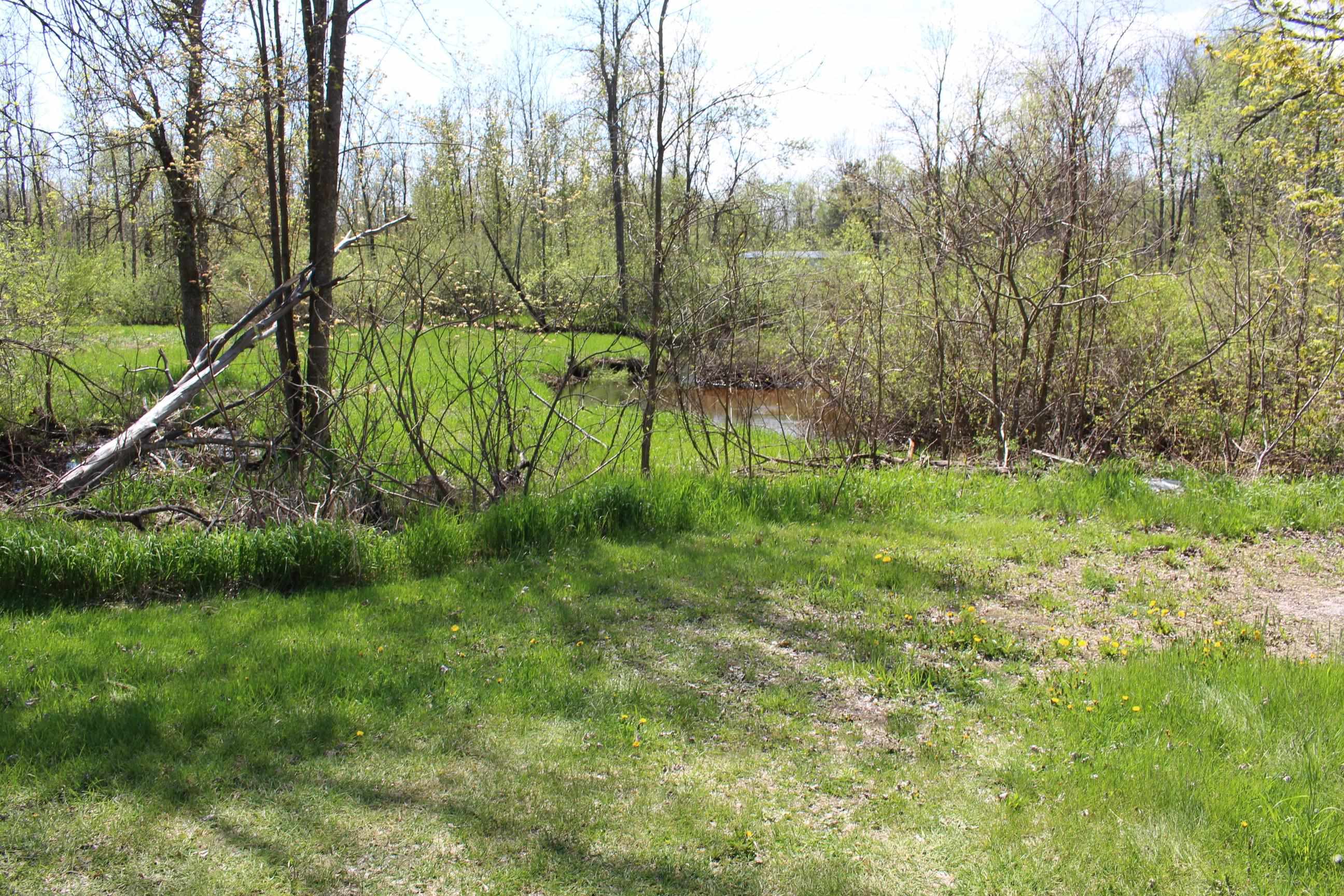 The stream as it flows through the property from the second driveway